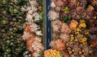 一鲸落万物生完整句 一鲸落万物生完整句